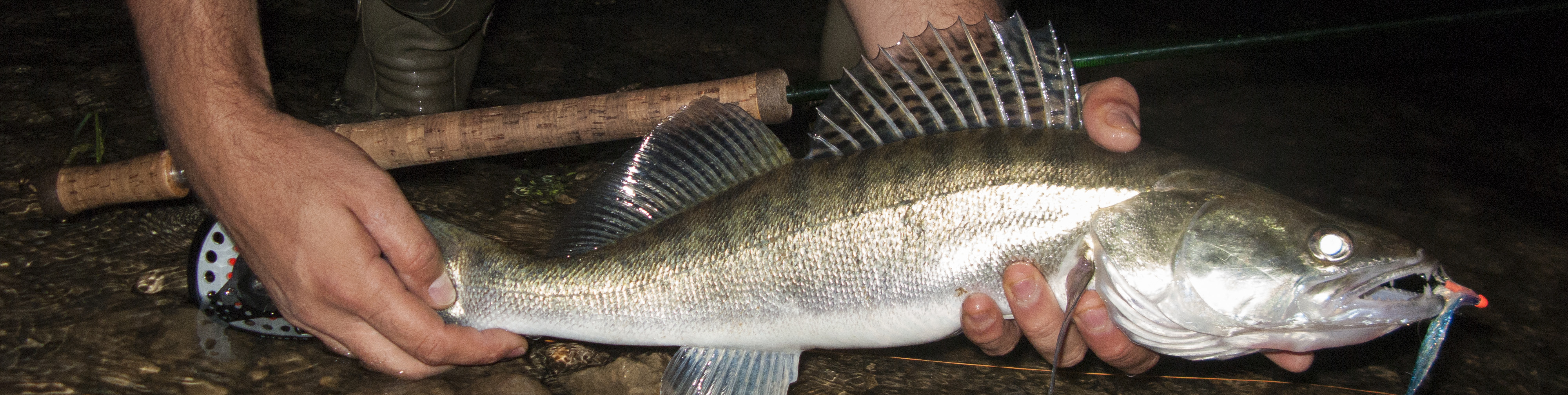 Rosen-fly-fishing-blog-07