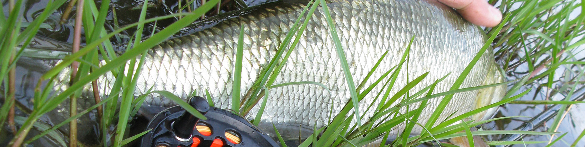 Rosen-fly-fishing-blog-12