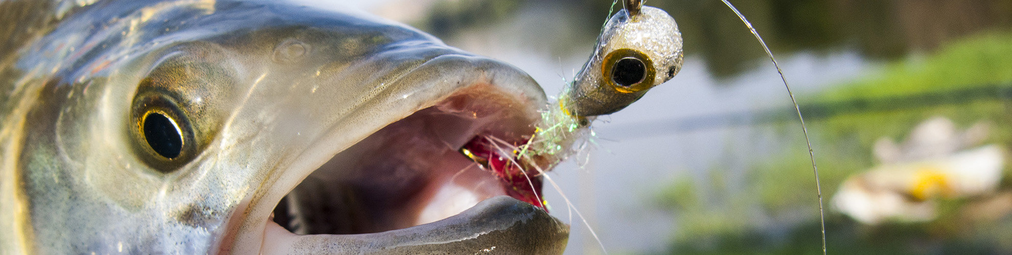 Rosen-fly-fishing-blog-14