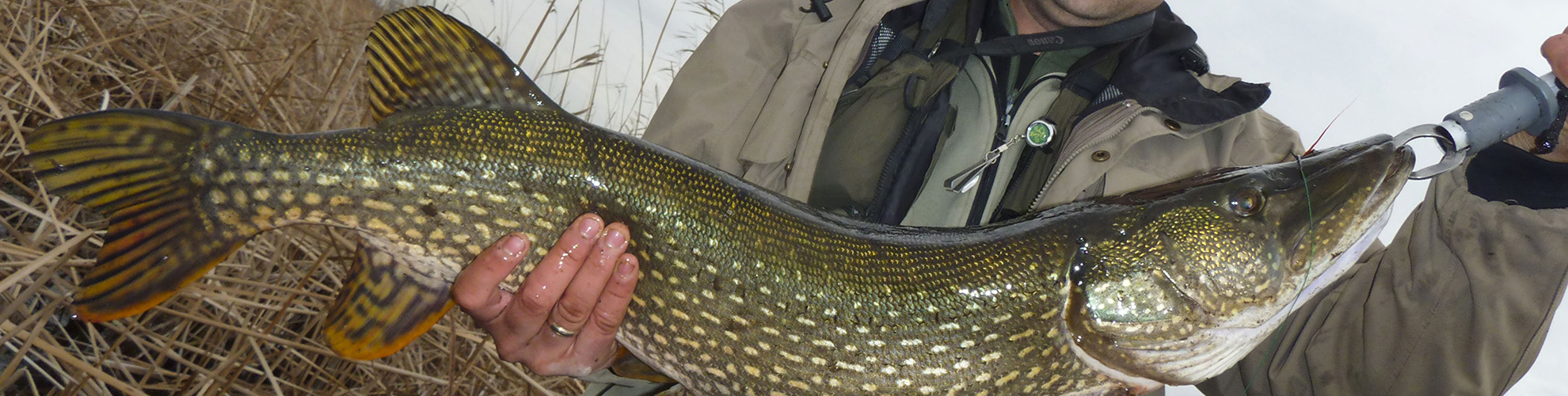Rosen-fly-fishing-blog-20